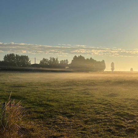 Kamille Villa Middelkerke Exteriör bild